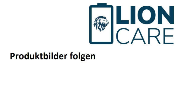 Ecosafe 790+1FLI, feuerfester Akku-Schrank / Sicherheitsschrank, 2-flg., Typ 90, leer